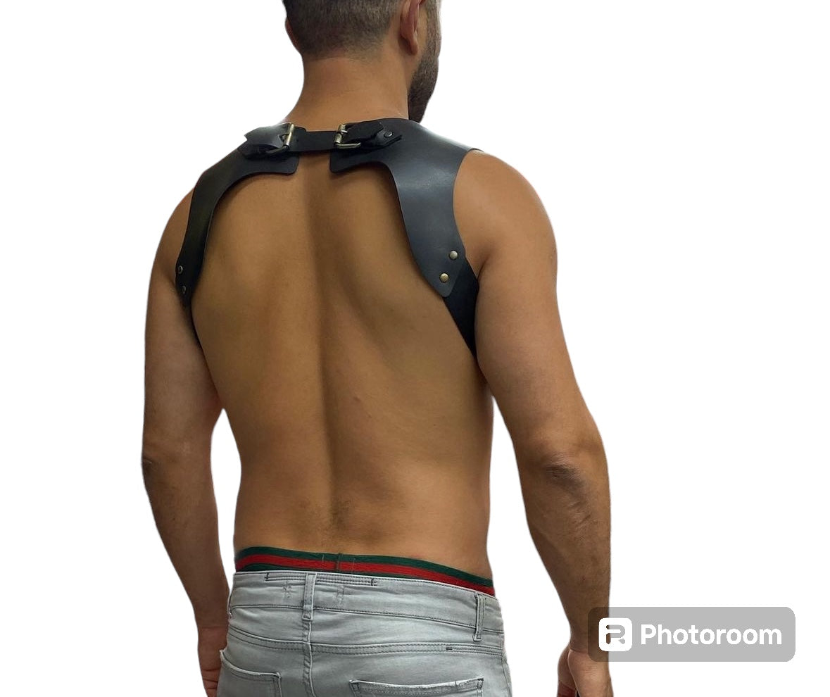LEATHER HARNESS